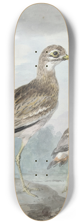 Aert Schouman - Twee grielen 8.25 inch art skate deck