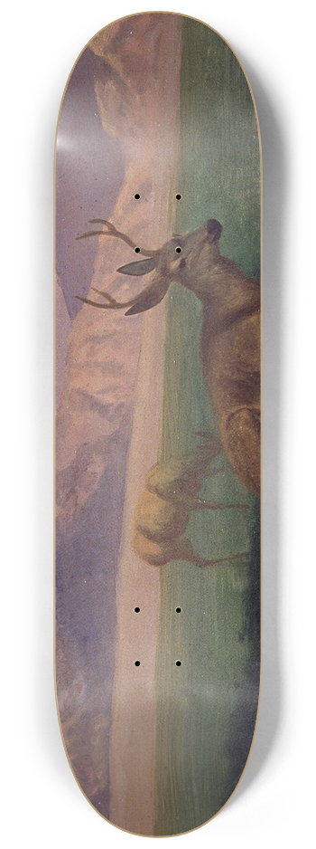 Albert Bierstadt - Deer 8.25 inch art skate deck
