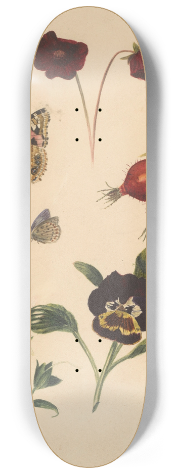 Albertus Steenbergen - Studieblad met bloemen en vlinders 8.25 inch art skate deck