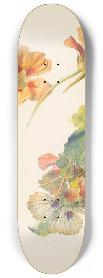 Albertus Steenbergen - Studieblad met Oost-Indische kers 8.25 inch art skate deck