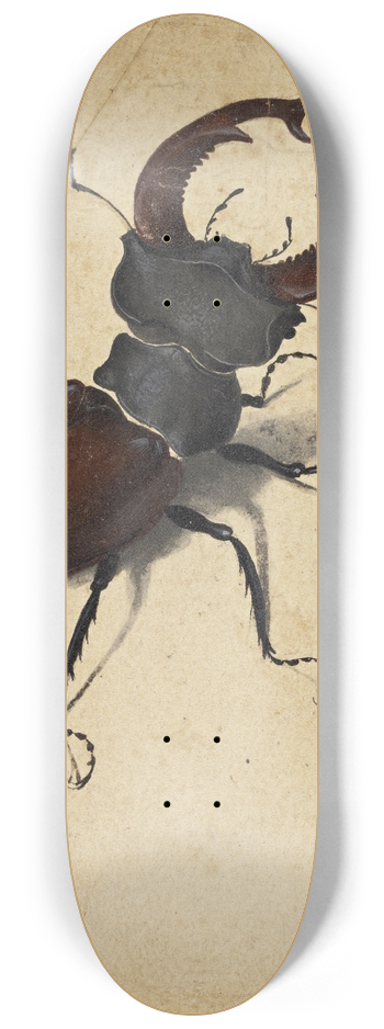 Albrecht Drer - Stag Beetle 8.25 inch art skate deck