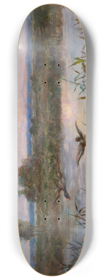 Aleksander Mroczkowski - Ducks over Marshes 8.25 inch art skate deck