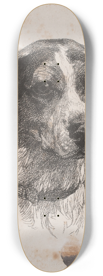 Alexander Blom - Et hundehoved 8.25 inch art skate deck