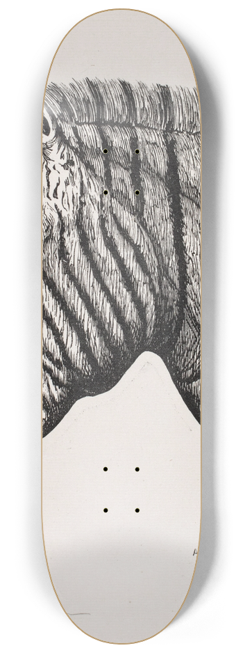 Alexander Blom - Hoved af en Zebra 8.25 inch art skate deck