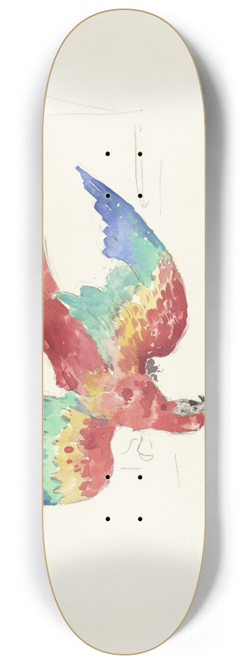 Alexandre Lunois - Parrot Looking Down 8.25 inch art skate deck