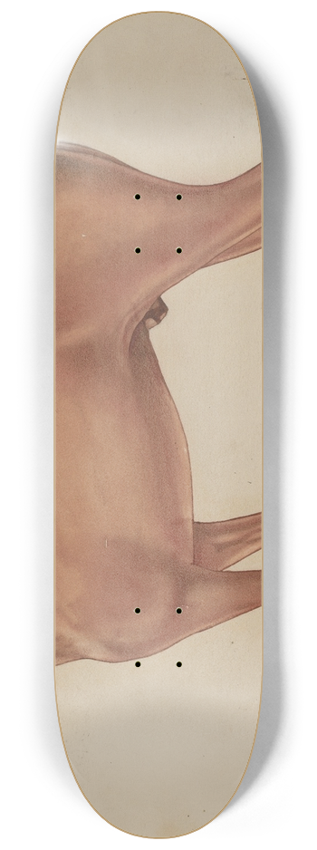Alf Bruseth - Horse Statue 8.25 inch art skate deck