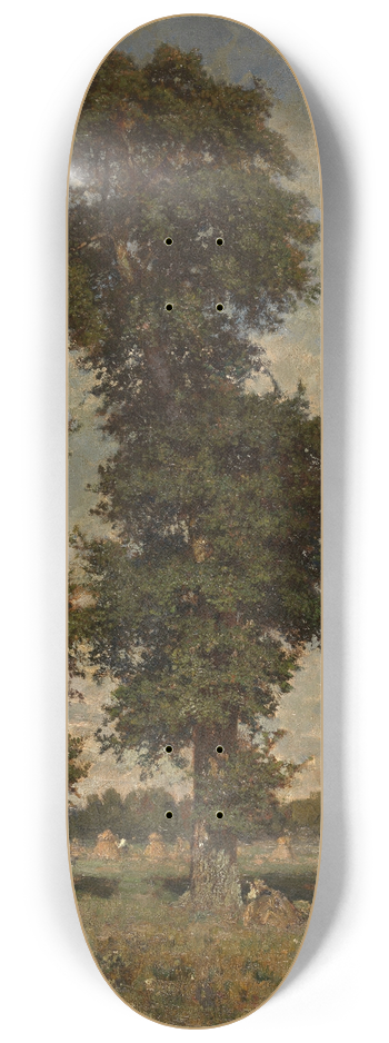 Alfred De Knyff - Landscape 8.25 inch art skate deck