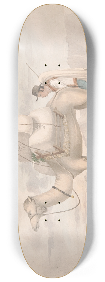 Alfred Diston - Loaded Camel 8.25 inch art skate deck