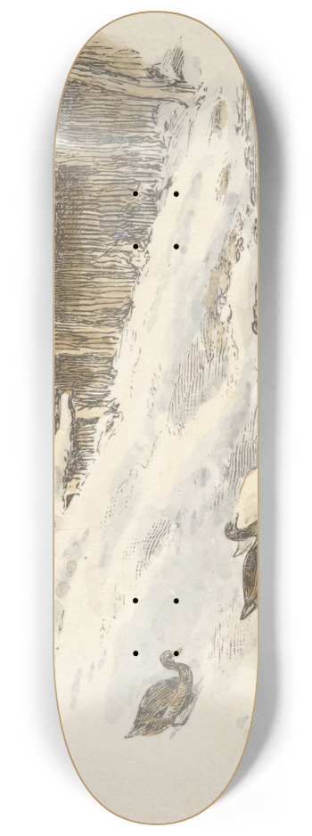 Alfred W. Cooper - Frost and Snow (tail piece) 8.25 inch art skate deck