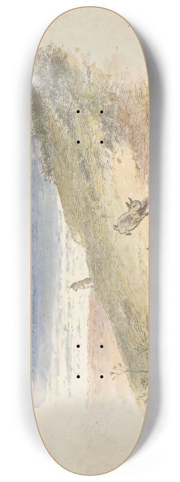 Alfred W. Cooper - Rabbits (tail piece) 8.25 inch art skate deck