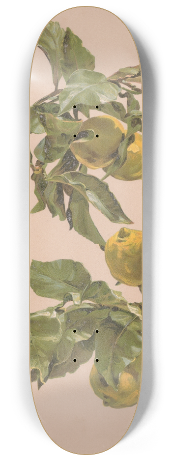 Alice Bailly - Aquarelle dun citronnier 8.25 inch art skate deck