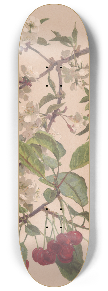 Alice Bailly - Aquarelle dune branche de cerisier 8.25 inch art skate deck