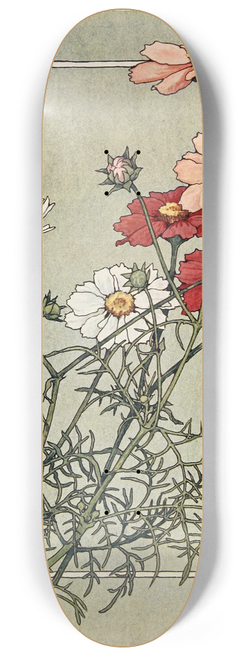 Alice W. Donaldson - Cosmos 8.25 inch art skate deck