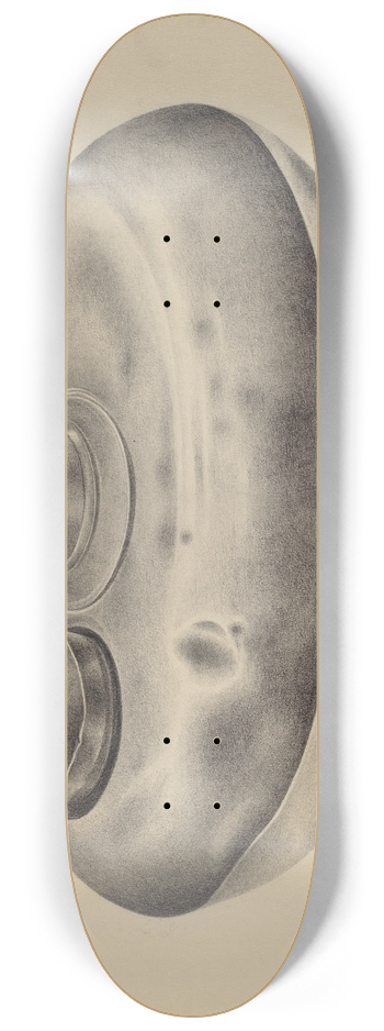 Amelia Tuccio - Hot Water Dish and Beaker 8.25 inch art skate deck