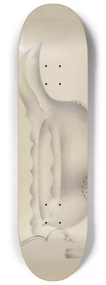 Amelia Tuccio - Silver Sauce Boat 8.25 inch art skate deck