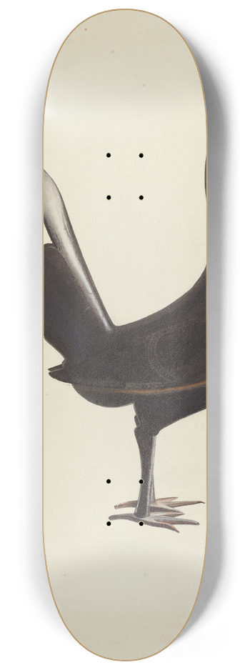 American 20th Century - Small Iron Cock 8.25 inch art skate deck