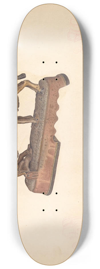 American 20th Century - Toy Bank  Mule 8.25 inch art skate deck
