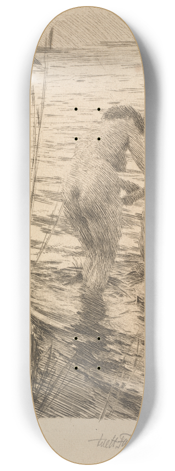 Anders Zorn - Premire 8.25 inch art skate deck