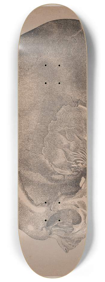 Andreas Flinch - Kranium 8.25 inch art skate deck