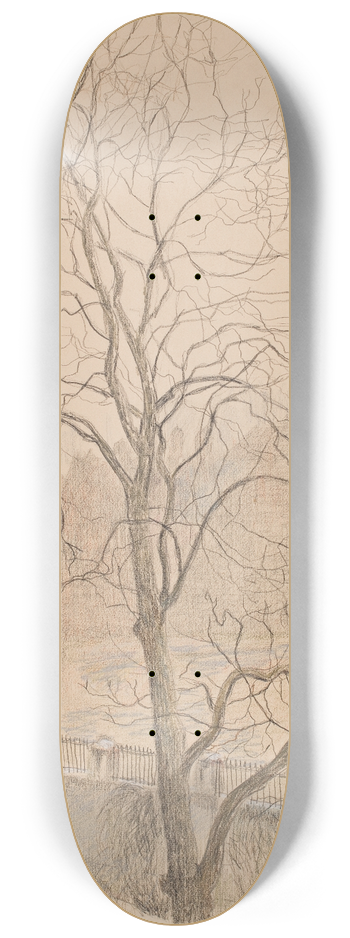 Anna De Weert - Notelaar in de mist 8.25 inch art skate deck