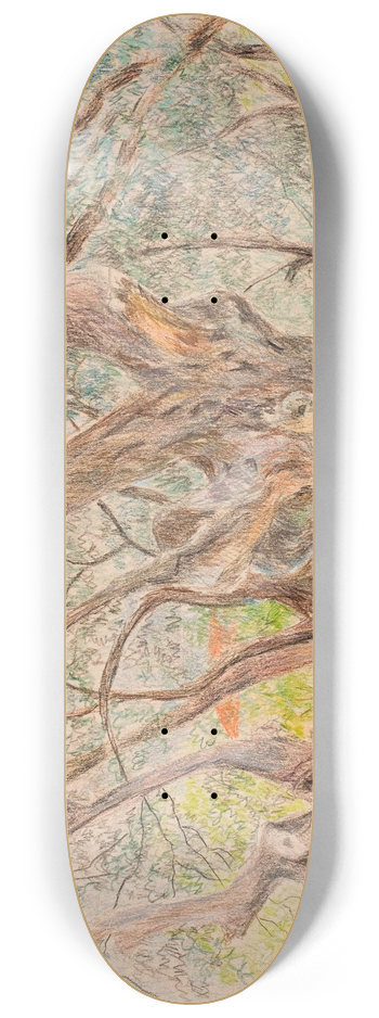 Anna De Weert - Oude olijfbomen 8.25 inch art skate deck