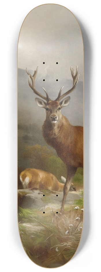 Anton Schmitz - Rotwild 8.25 inch art skate deck