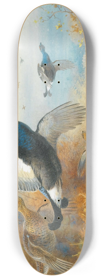 Archibald Thorburn - Blackcock Forward 8.25 inch art skate deck