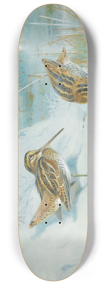Archibald Thorburn - Frozen Out Snipe 8.25 inch art skate deck