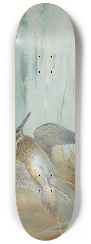 Archibald Thorburn - Jack Snipe Rising 8.25 inch art skate deck