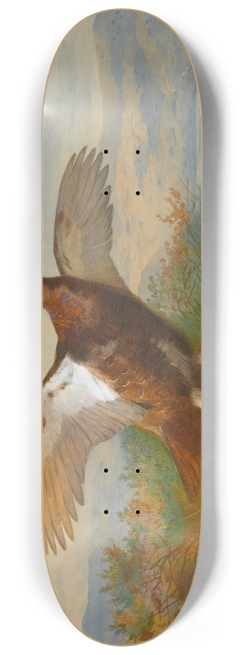 Archibald Thorburn - Red Grouse In Flight 8.25 inch art skate deck