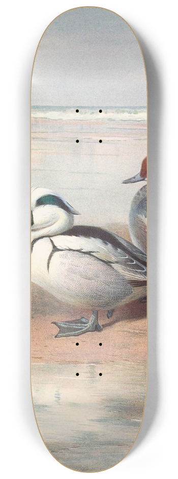 Archibald Thorburn - Smew 8.25 inch art skate deck