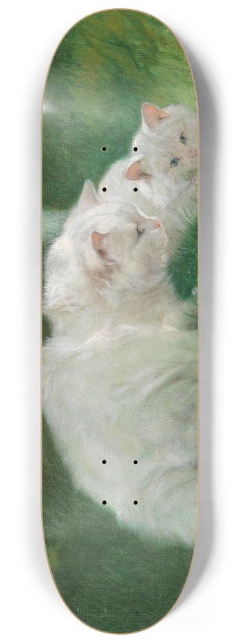 Arthur Heyer - Interessante Entdeckung 8.25 inch art skate deck