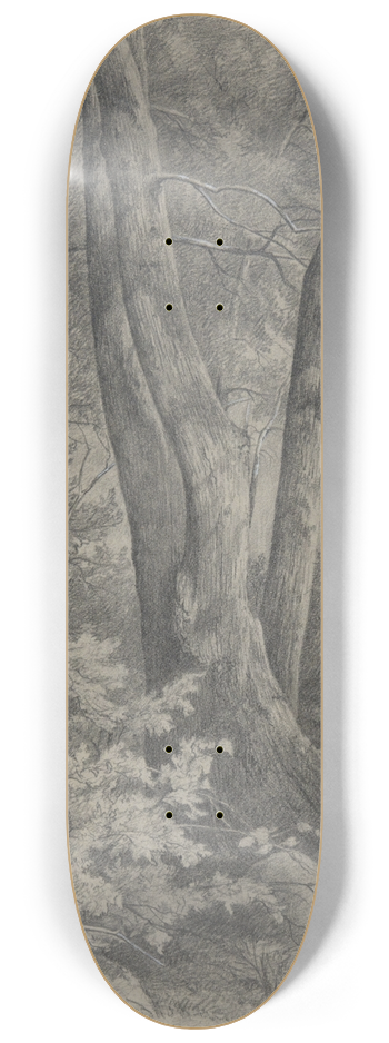 Asher Brown Durand - ForestTrees 8.25 inch art skate deck