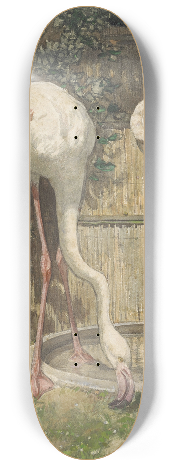 August Alleb - Three Flamingos near a Basin 8.25 inch art skate deck