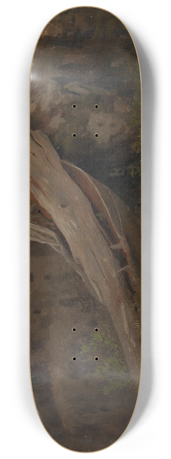 August Cappelen - Study of a decaying Trunk 8.25 inch art skate deck