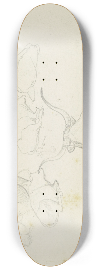August Lucas - Resting cattle 8.25 inch art skate deck