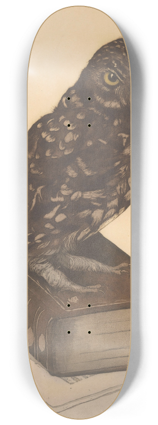 Frans Everbag - Uil zittend op een boek 8.25 inch art skate deck