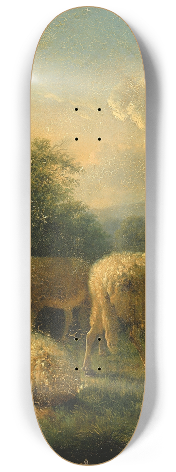 Balthasar Paul Ommeganck - Sheep 8.25 inch art skate deck
