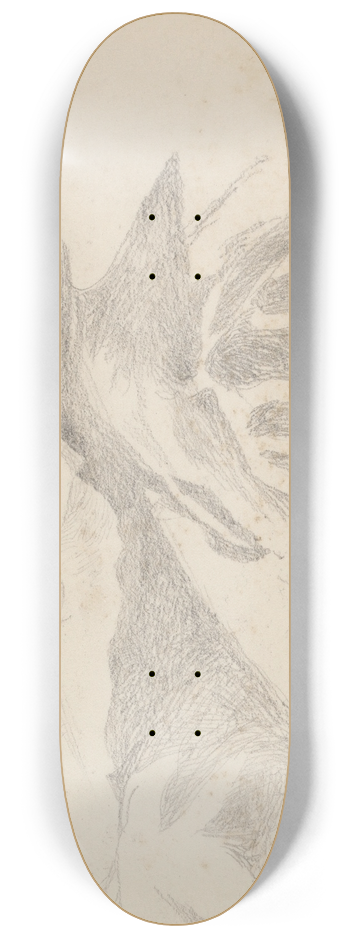 Barbara Bodichon - Study of Mountainous Landscape 8.25 inch art skate deck