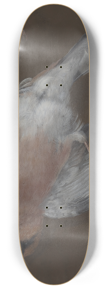Barbara Regina Dietzsch - A Rose-Breasted Finch Hanging from a Nail 8.25 inch art skate deck