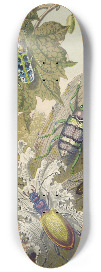 Barret And Sons - British Bees And Their Foreign Relatives 8.25 inch art skate deck