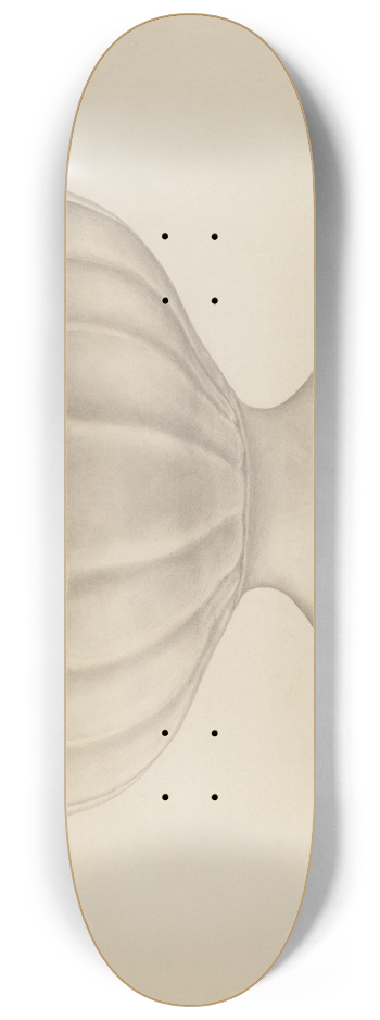 Bena Mayer - Compote 8.25 inch art skate deck