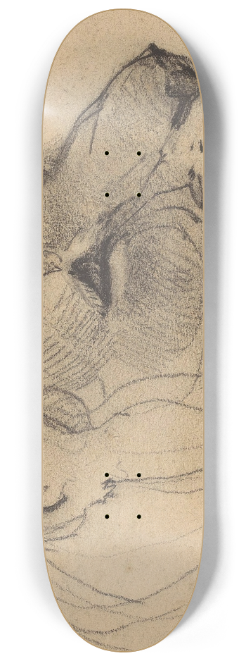 Bernard Willem Wierink - Kop van een leeuwin 8.25 inch art skate deck