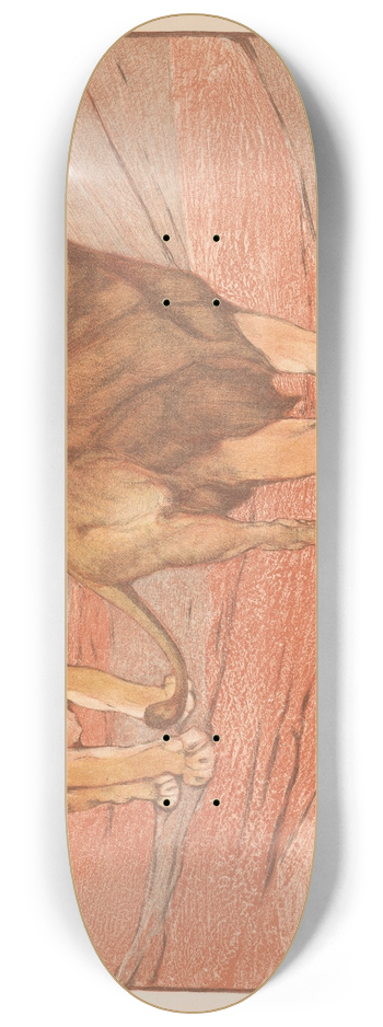 Bernard Willem Wierink - Leeuw en leeuwin 8.25 inch art skate deck