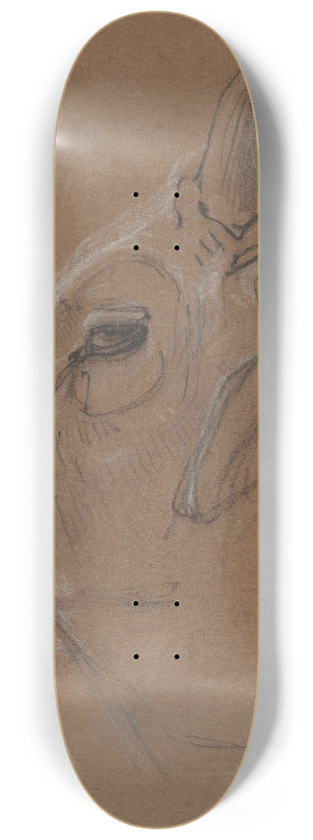 Bernard Willem Wierink - Zebu 8.25 inch art skate deck