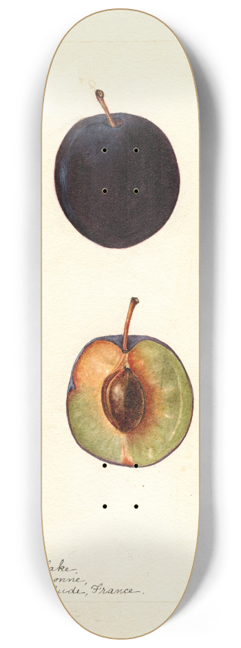 Bertha Heiges - Prunus domestica: Coeur de Boeuf 8.25 inch art skate deck