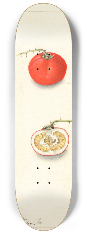 Bertha Heiges - Solanum aviculare 8.25 inch art skate deck