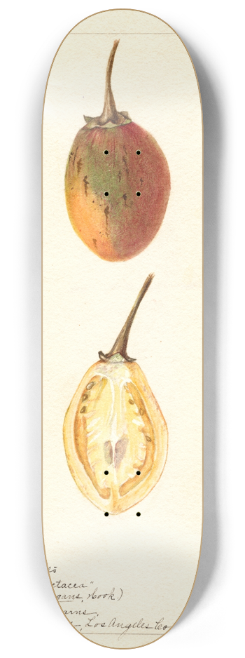 Bertha Heiges - Solanum betaceum 8.25 inch art skate deck
