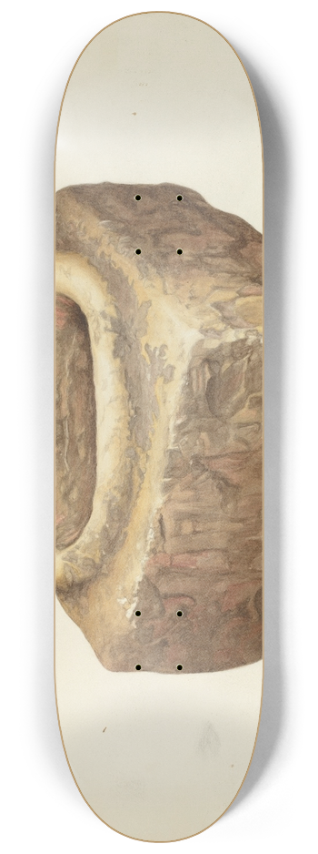 Bertha Semple - Sandstone Holy Water Font 8.25 inch art skate deck