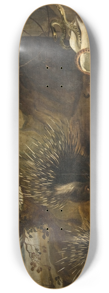 Frans Snyders - Porcupines and vipers 8.25 inch art skate deck